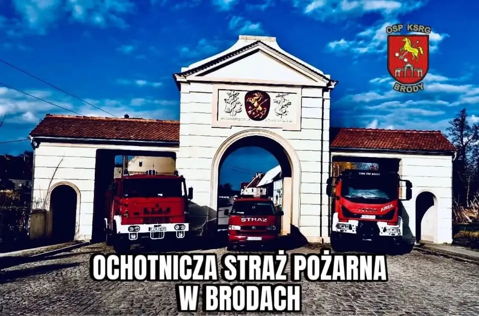 Pożar lasu w Brożku – strażacy w akcji