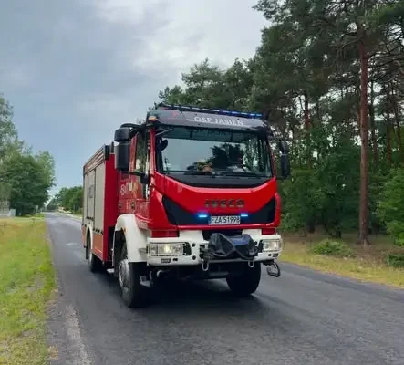 Zagrożenie w Jasieniu i Golinie: zwisające konary i powalone drzewo
