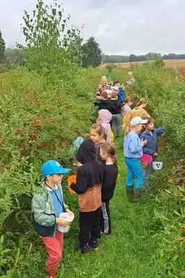 Pierwszaki z Trzebiela na plantacji borówek – warsztaty, zbiory i ognisko