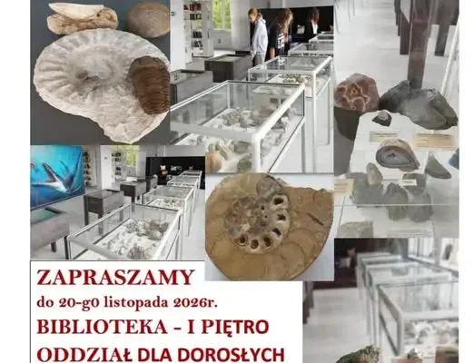 Lubsko: podróż w czasie w bibliotece – wystawa skamieniałości dla uczniów