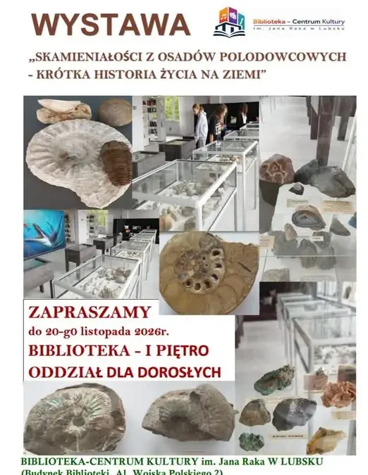 Lubsko: podróż w czasie w bibliotece – wystawa skamieniałości dla uczniów